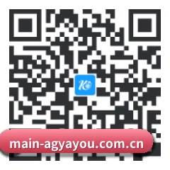 iOS 苹果版 二维码
